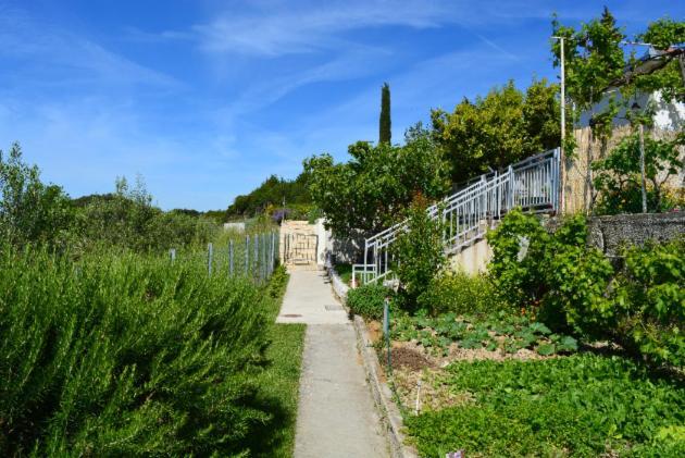 Mediterranean House - Forest Marjan Spalato Esterno foto